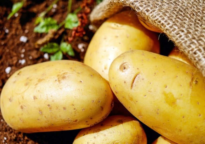 馬鈴薯健康飲食