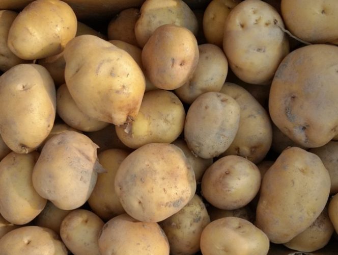 馬鈴薯碳水化合物 馬鈴薯碳水化合物