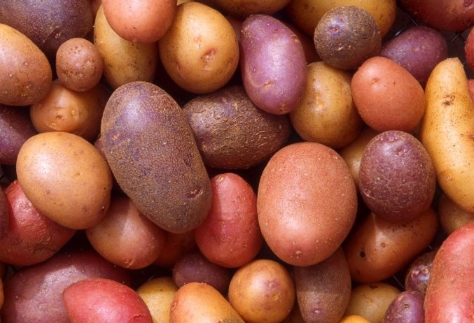 馬鈴薯升糖指數