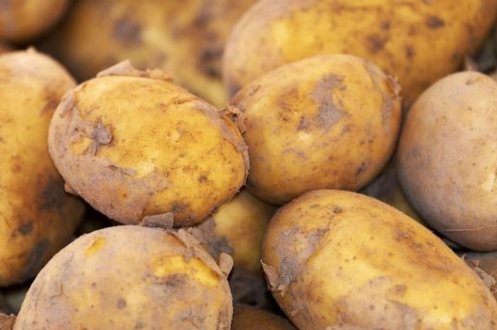 糖尿病馬鈴薯食譜