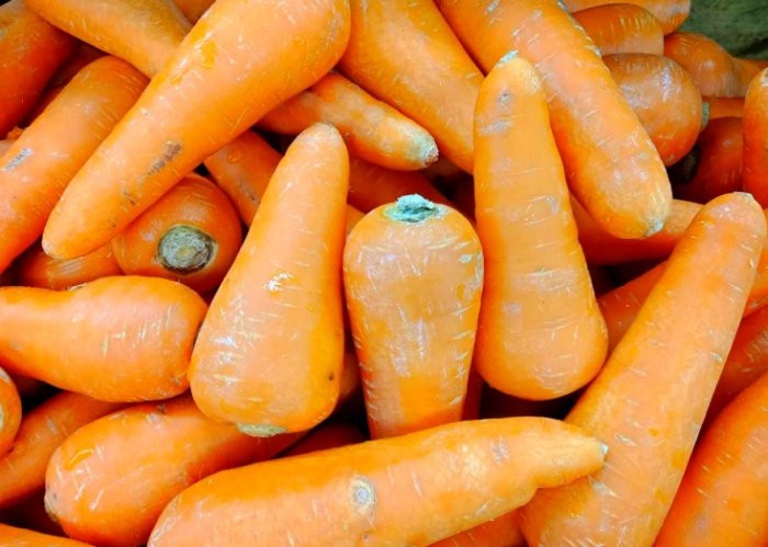 紅蘿蔔食物相克