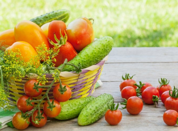 酵素最佳使用時間