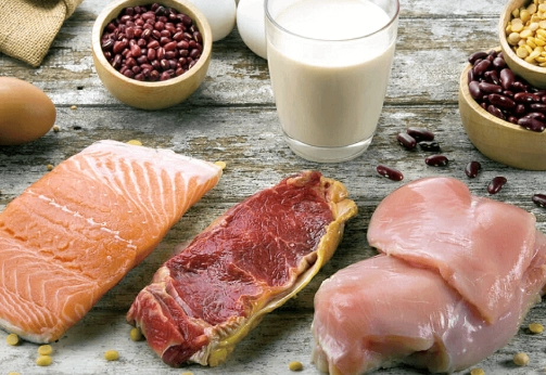 蛋白質減脂計算