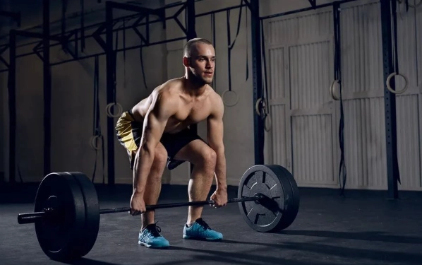 增肌蛋白質攝取量 增肌蛋白質攝取量