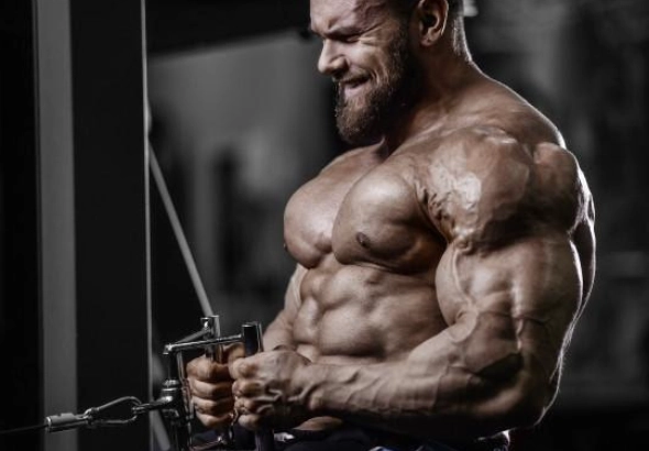 體脂增肌控制 體脂增肌控制