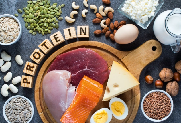 減脂蛋白質攝取量