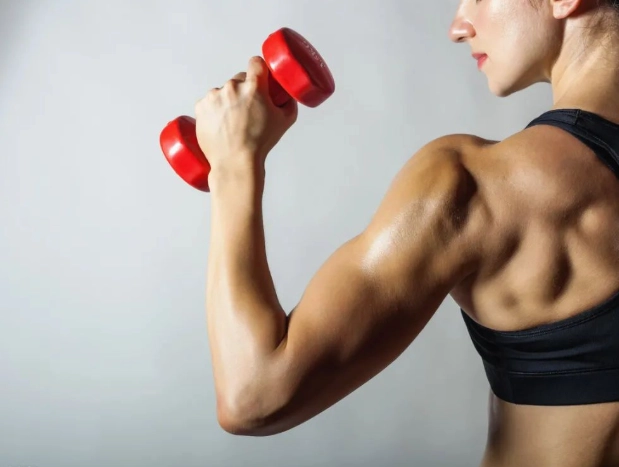 增肌飲食計畫 增肌飲食計畫