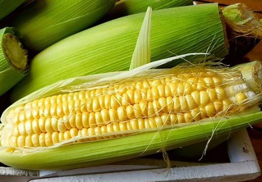 玉米營養價值 玉米營養價值