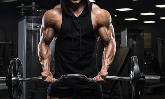 健身營養比例 健身營養比例