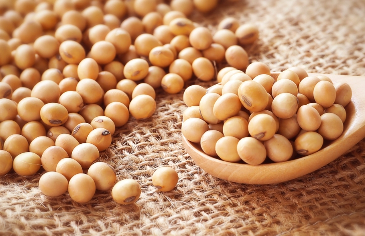 黃豆蛋白質好處