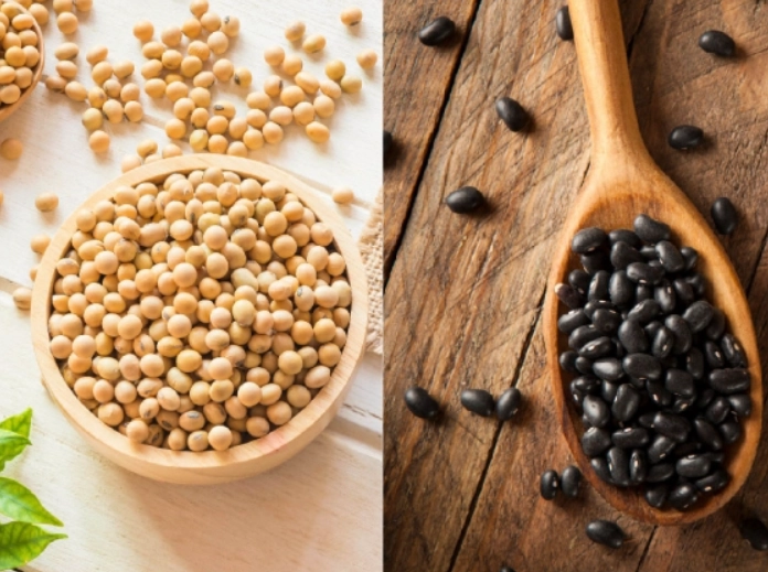 植物雌激素健康 植物雌激素健康