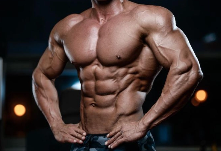 健身營養比例 健身營養比例