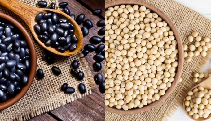 黑豆黃豆哪個好