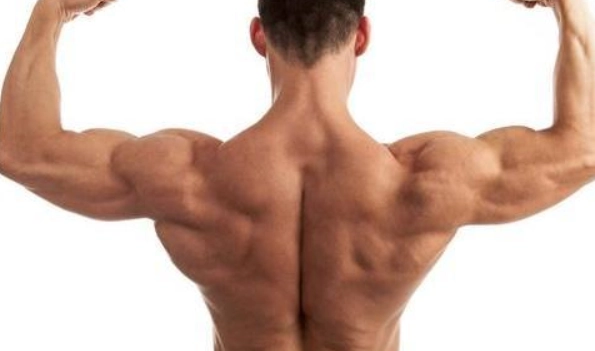 碳水循環減脂 碳水循環減脂