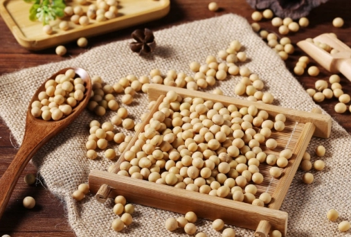 黃豆蛋白質好處