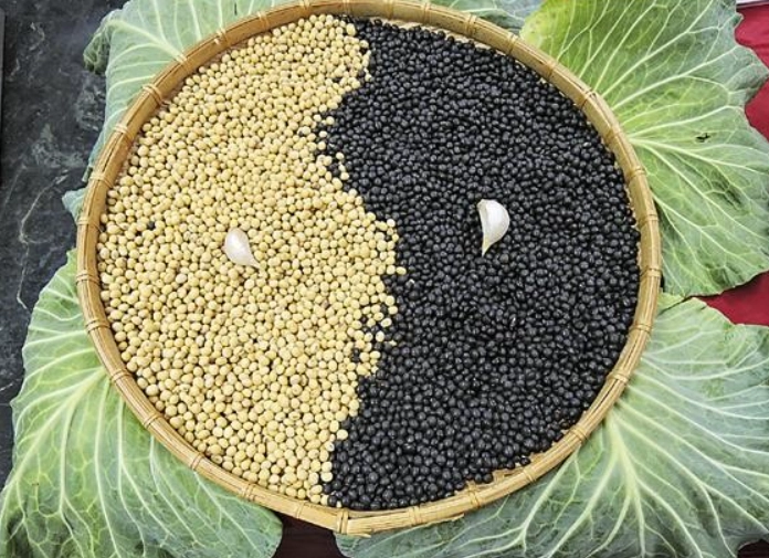 黃豆蛋白質好處