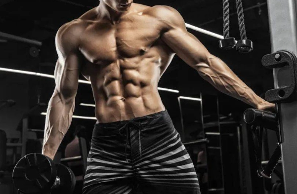 減脂蛋白質比例 減脂蛋白質比例