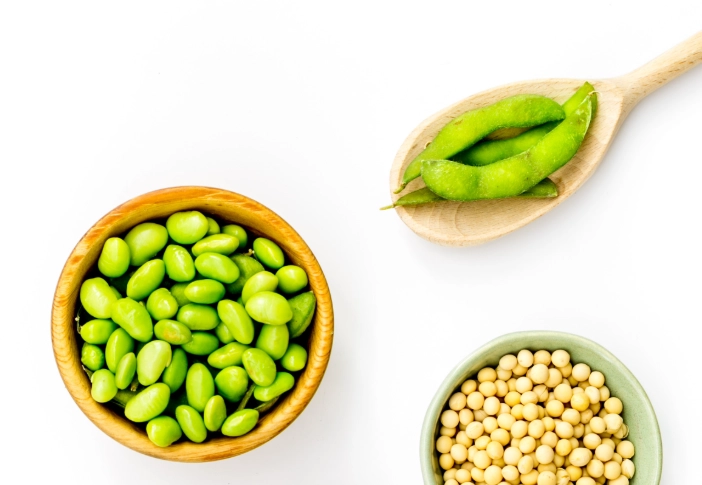 黑豆與黃豆差異