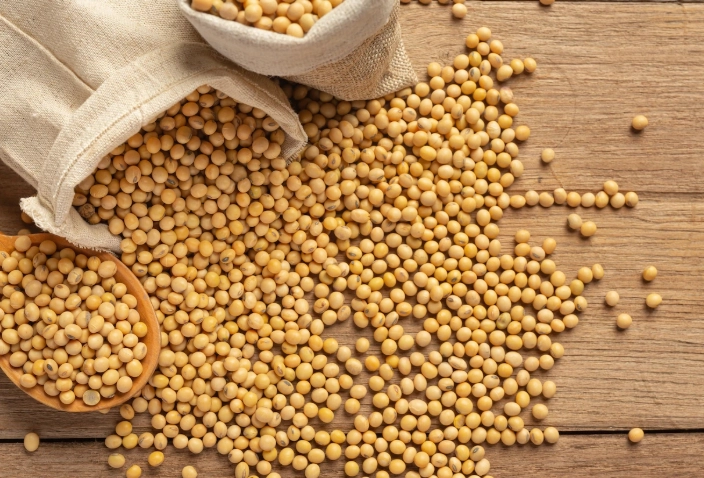 黑豆與黃豆差異