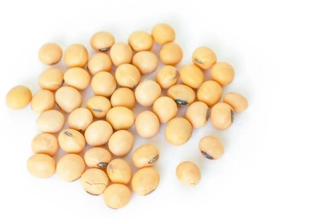 黃豆黑豆營養比較