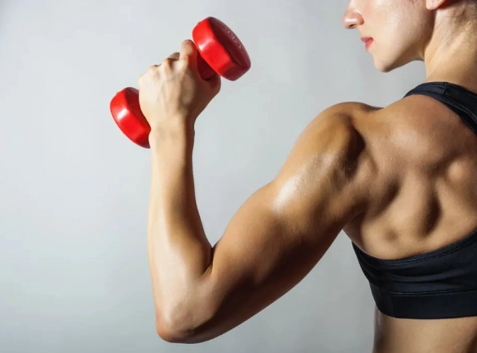 碳水循環減脂 碳水循環減脂