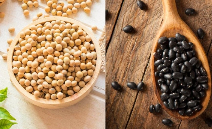 黄豆雌激素 黄豆雌激素