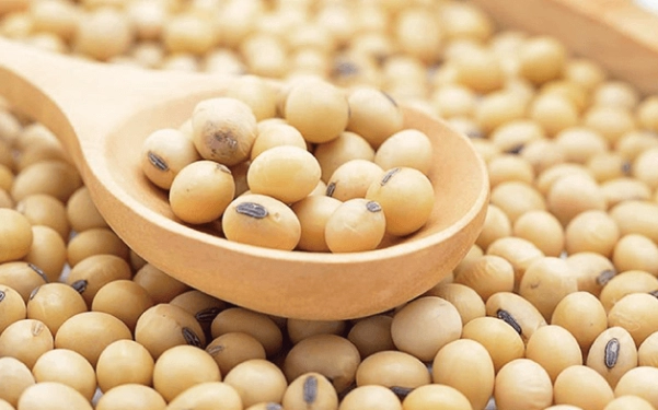 黄豆雌激素 黄豆雌激素