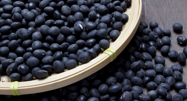 黑豆營養價值 黑豆營養價值