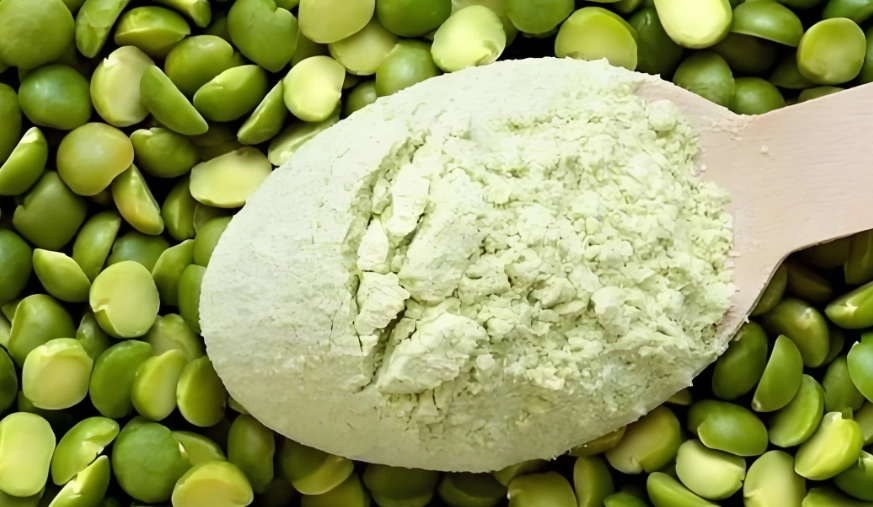 植物蛋白消化不良 植物蛋白消化不良