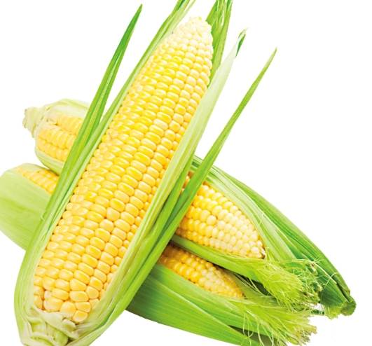 玉米對男性的益處 玉米對男性的益處