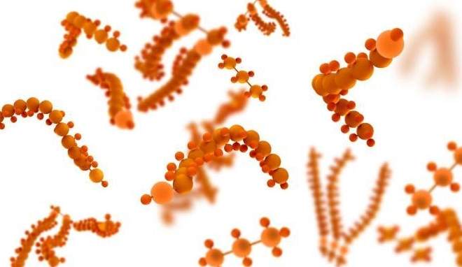 酵素最佳食用時間