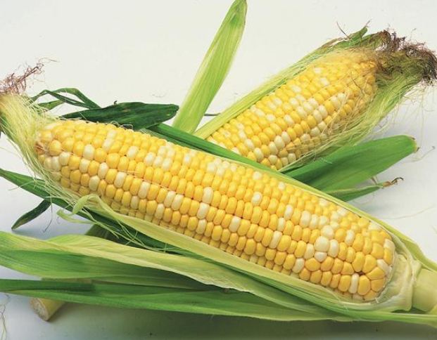 玉米怎麼挑