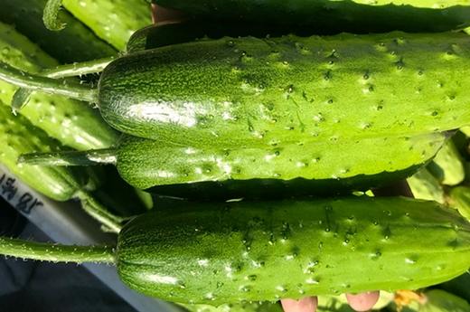 幫助腸胃蠕動的食物