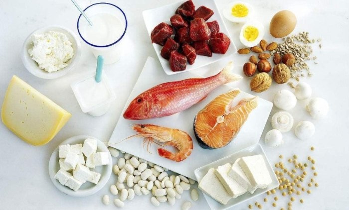 營養素攝取比例 營養素攝取比例