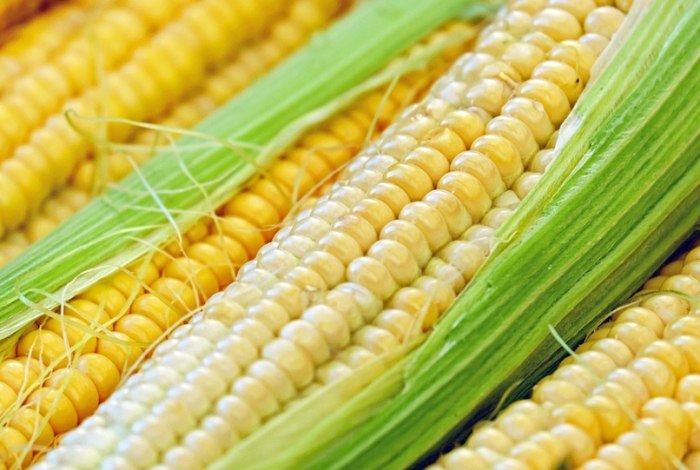 玉米營養男性健康 玉米營養男性健康