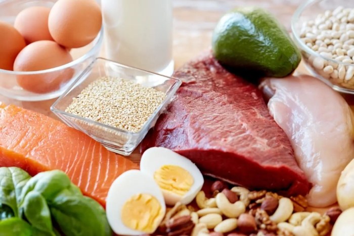 健康飲食比例 健康飲食比例