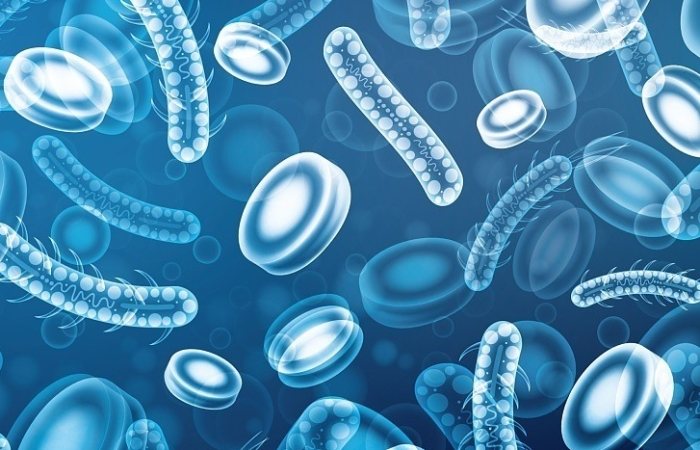 腸胃益生菌 推薦