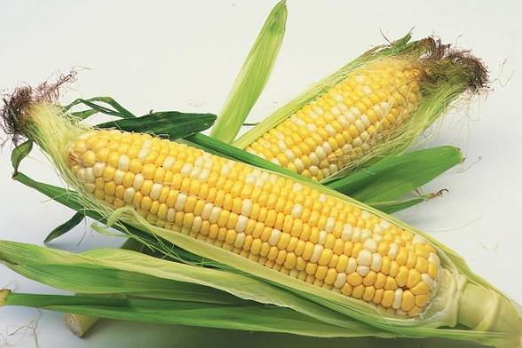男人吃玉米好處 男人吃玉米好處