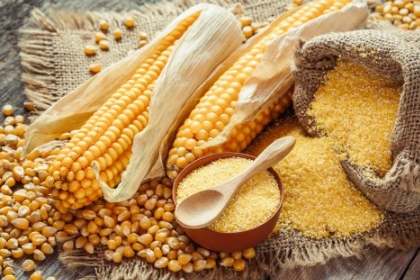 玉米減肥 玉米減肥