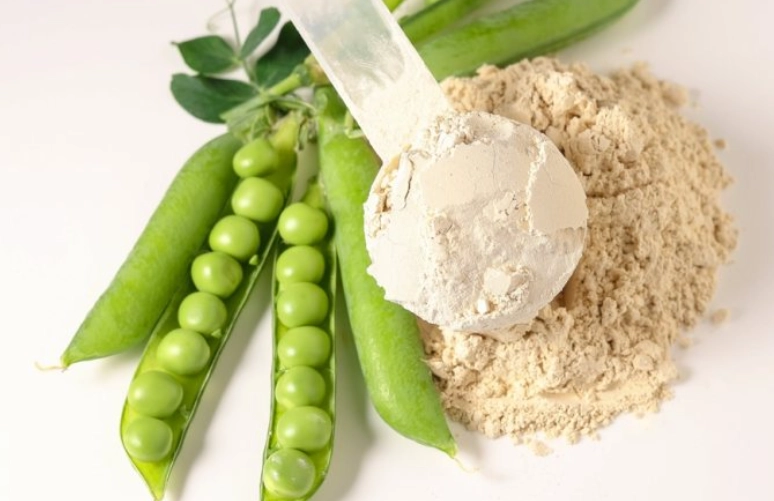 豌豆蛋白 大豆蛋白 比較