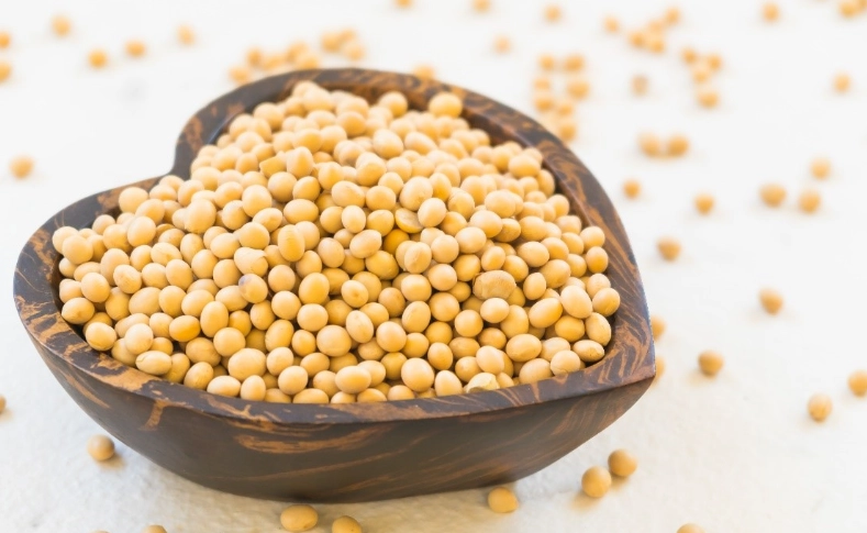 乾黃豆蛋白質好處