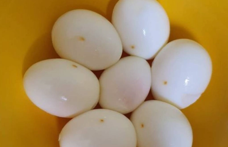 水煮蛋蛋白熱量