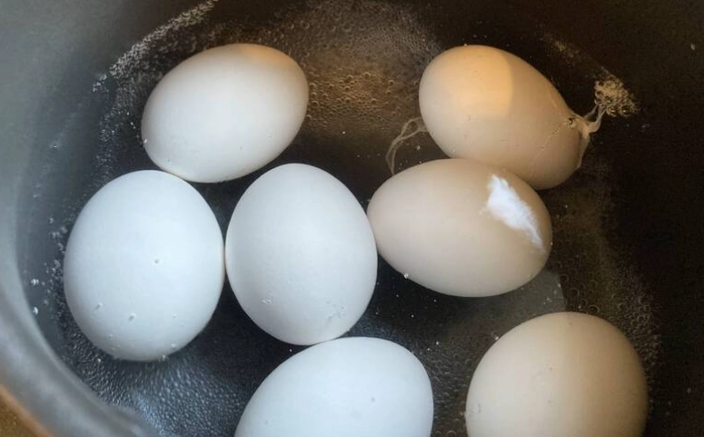 水煮蛋蛋白熱量