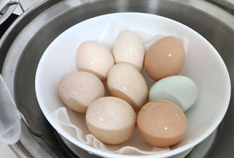 水煮蛋蛋白減肥