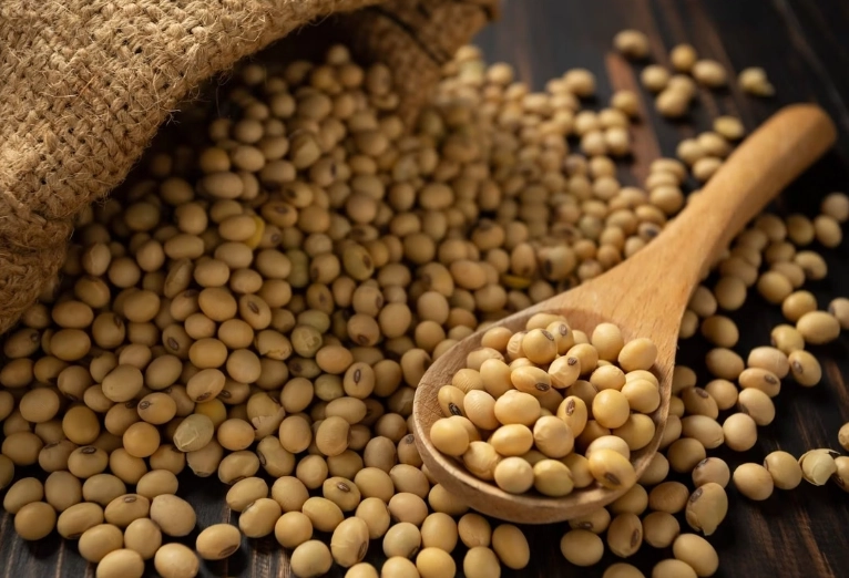 乾黃豆蛋白質食譜