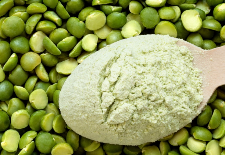 豌豆蛋白 大豆蛋白 比較