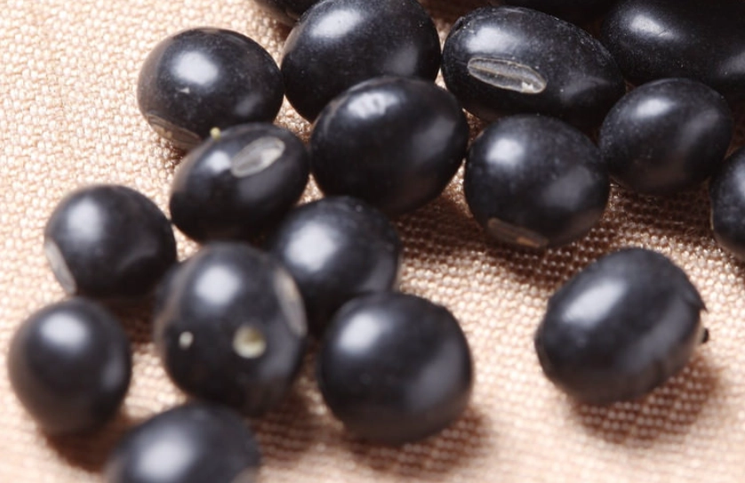 黑豆膳食纖維功效