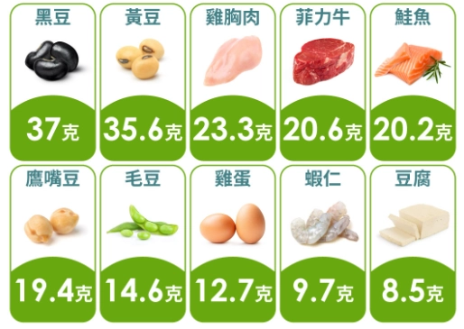 蛋白質攝取指南