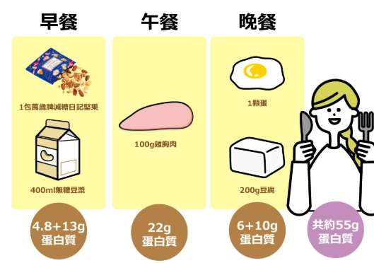 蛋白質攝取指南