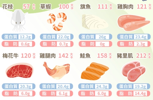 肉類蛋白質含量